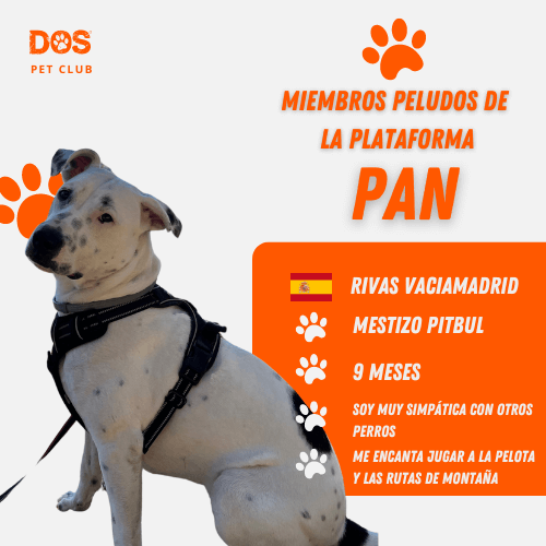 Comunidad Privada de Educación Canina y Felina